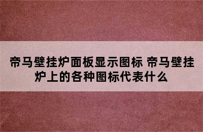 帝马壁挂炉面板显示图标 帝马壁挂炉上的各种图标代表什么